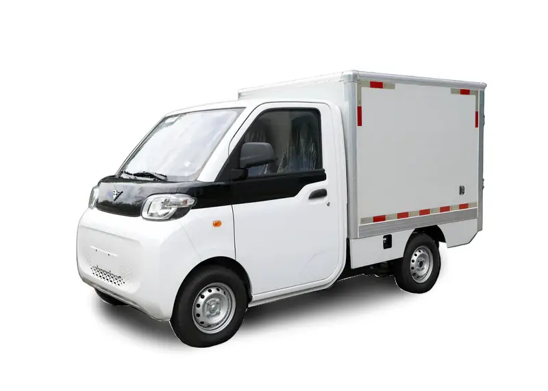 BAW Mini Truck - Furgon